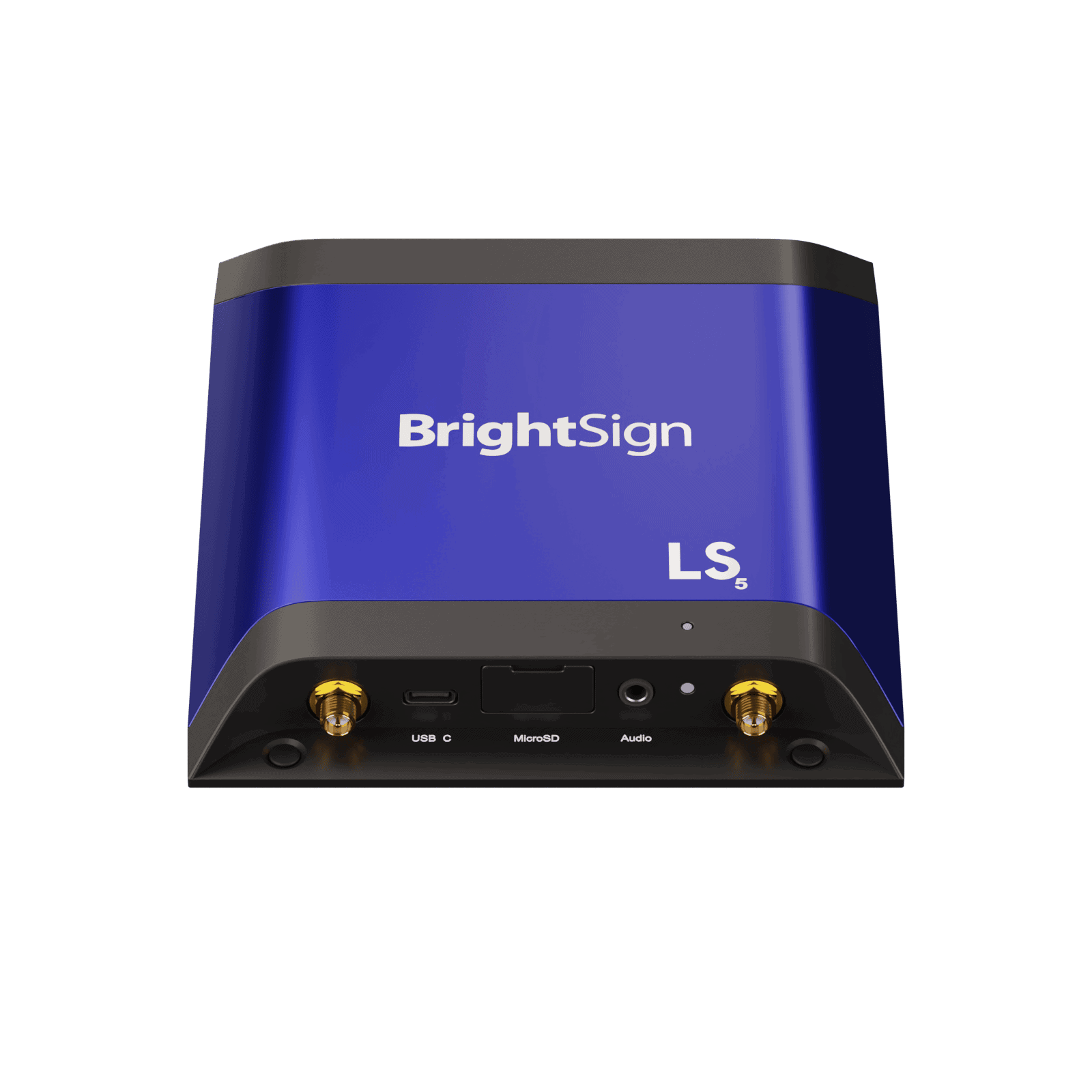 BrightSign Australia Amped Digital